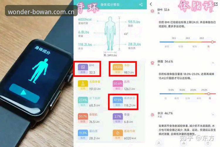 博万体育实时数据 博万体育的实时数据到底好用吗?新手如何快速上手?